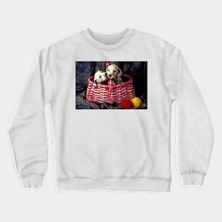 Two Dalmatian Puppies In Pink Basket Crewneck Sweatshirt